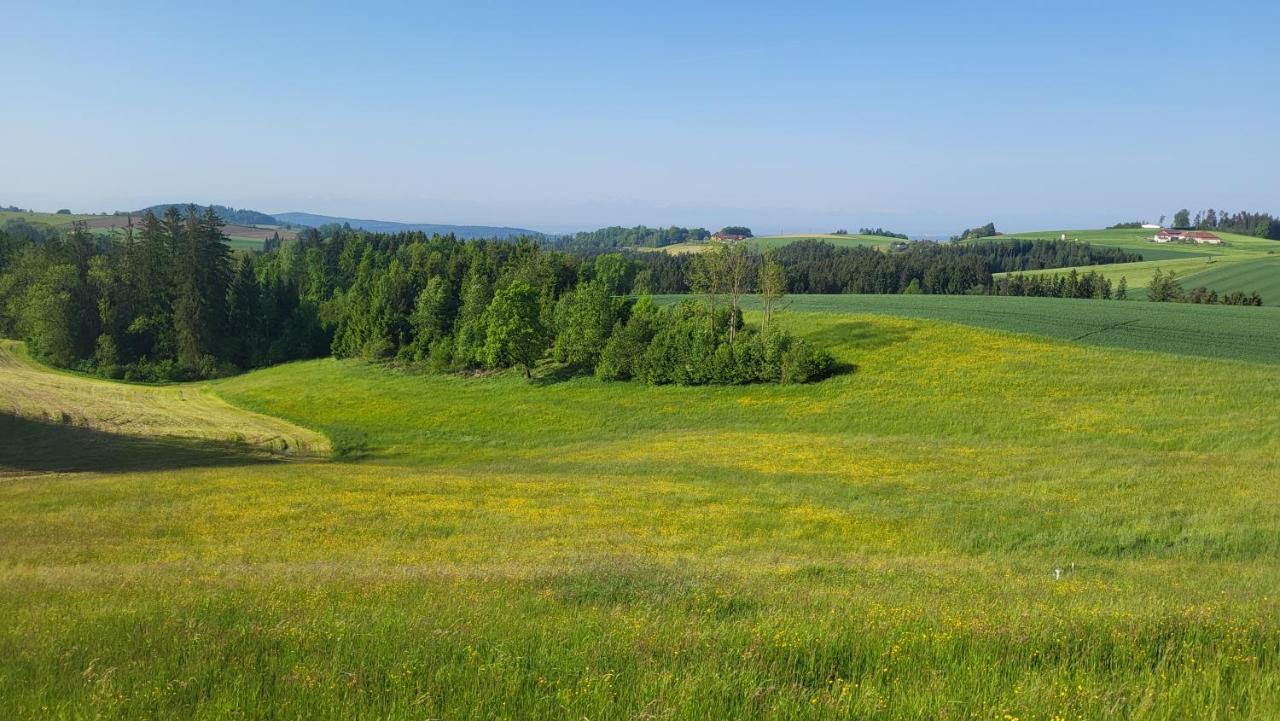Alpenblick Holiday home *