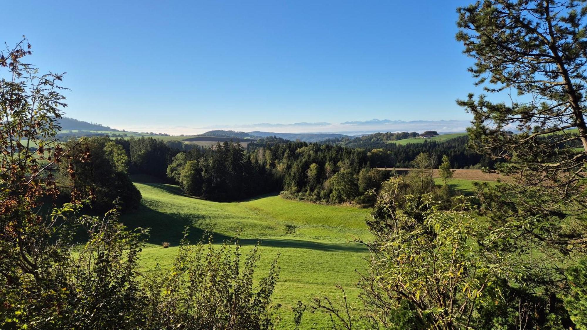 Prázdninový dům Alpenblick *