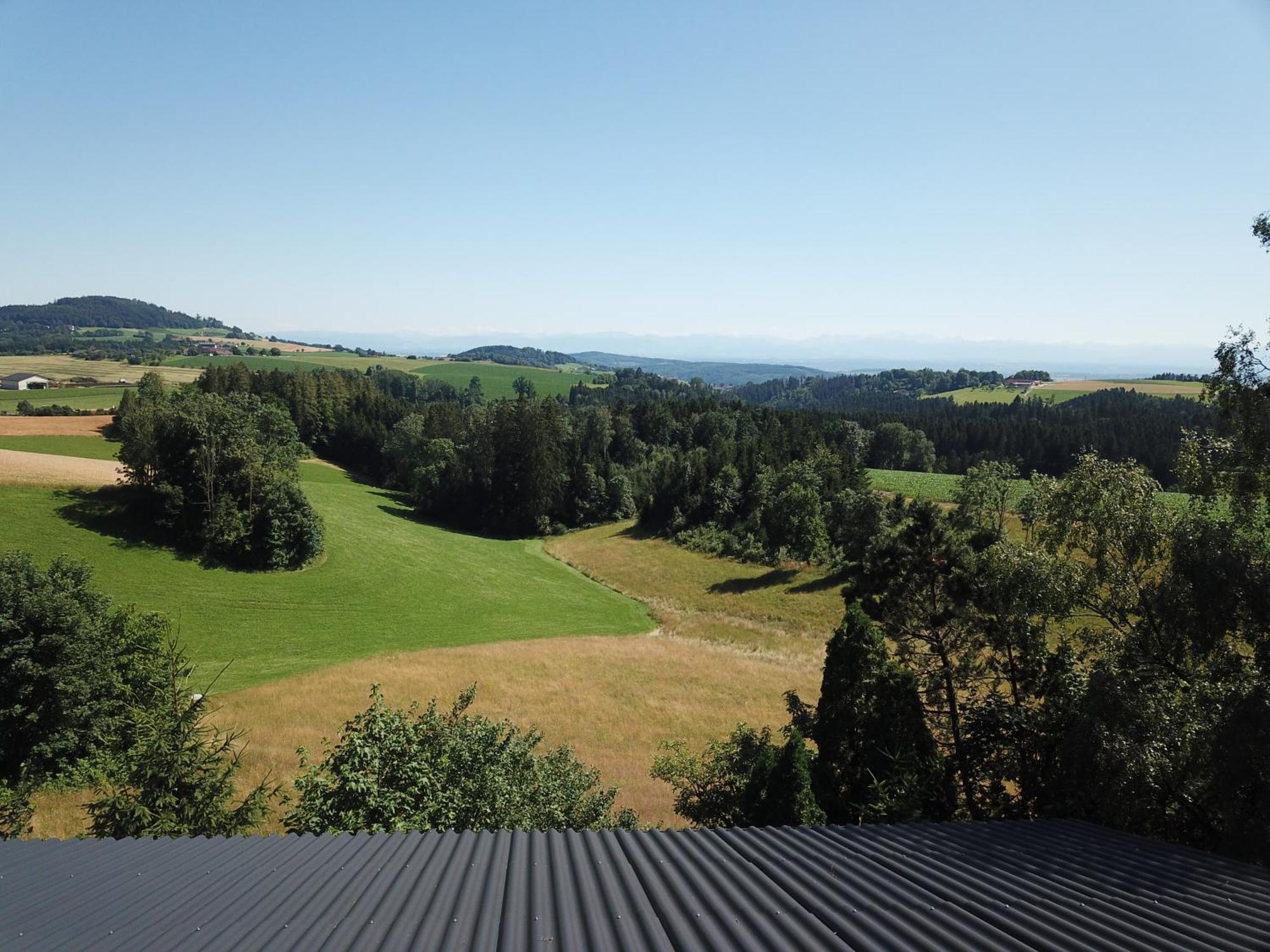 Alpenblick *