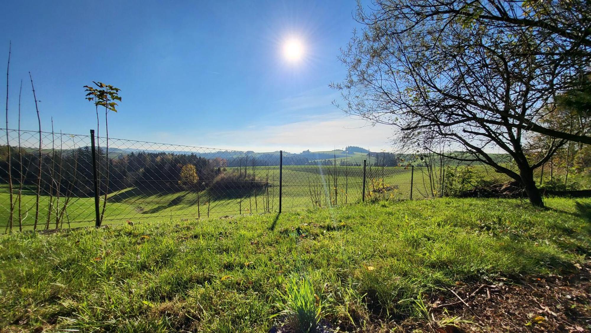 Alpenblick Holiday home *